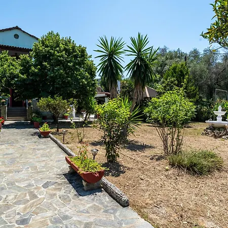 House Theodora Holidays Greece Vakantiehuis Dragotiná